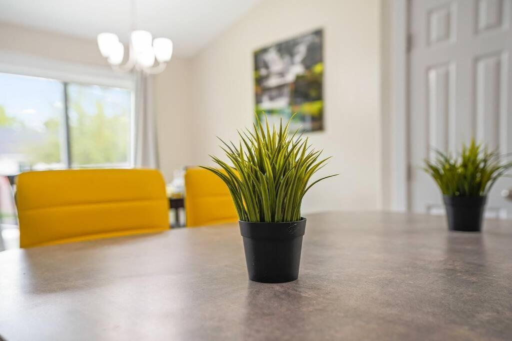 Remodeled, Charming Retreat On The City'S Doorstep Boise Exterior foto